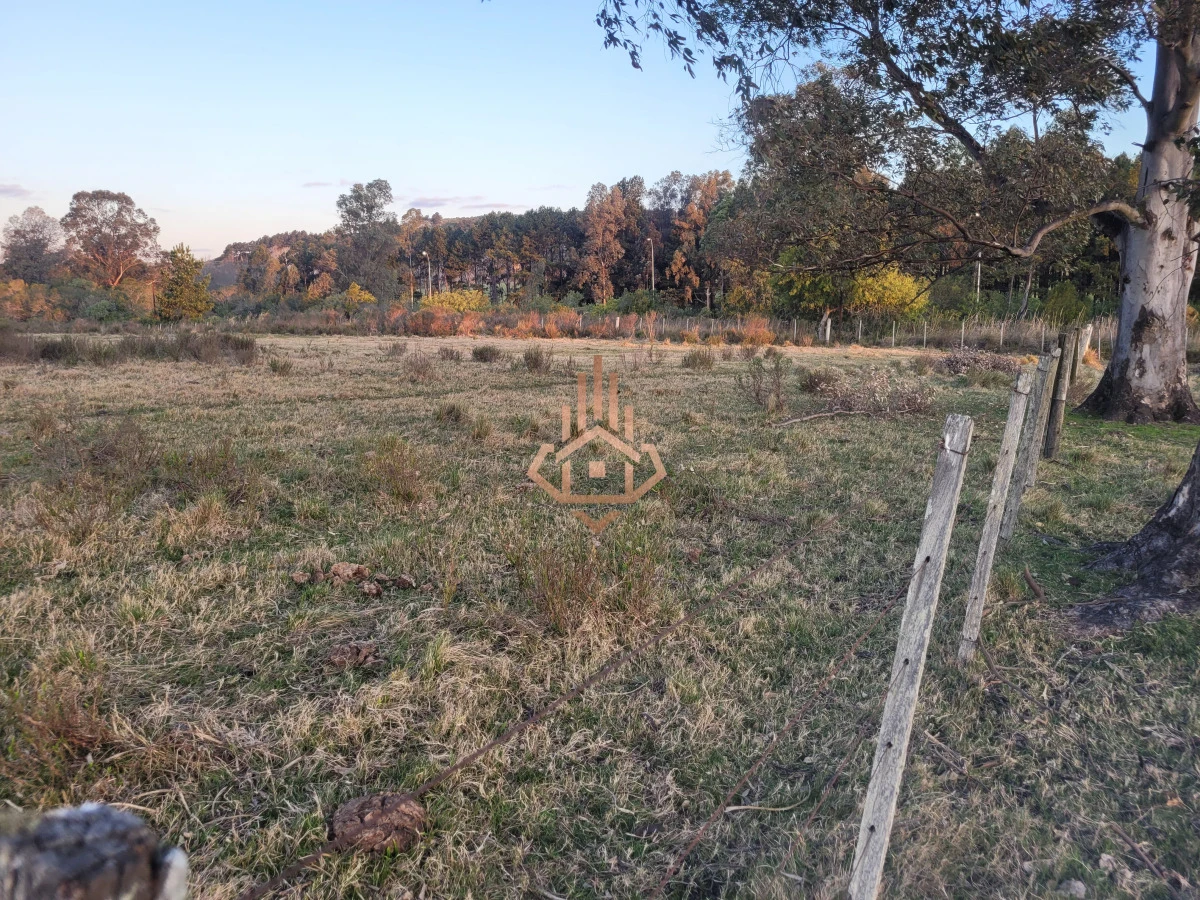 Venta de chacra sobre Ruta 9 - excelente ubicación y muy buen índice CONEAT