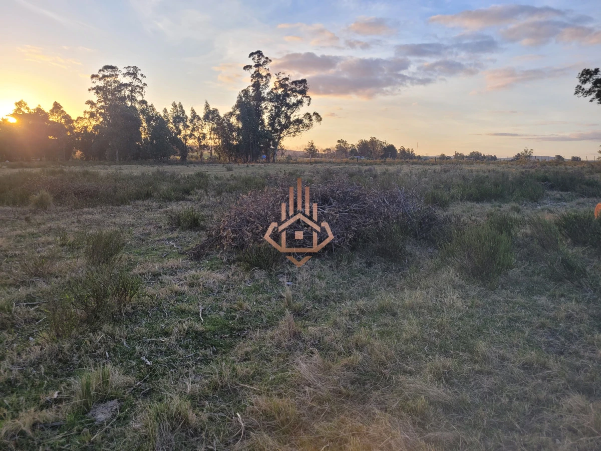 Venta de chacra sobre Ruta 9 - excelente ubicación y muy buen índice CONEAT