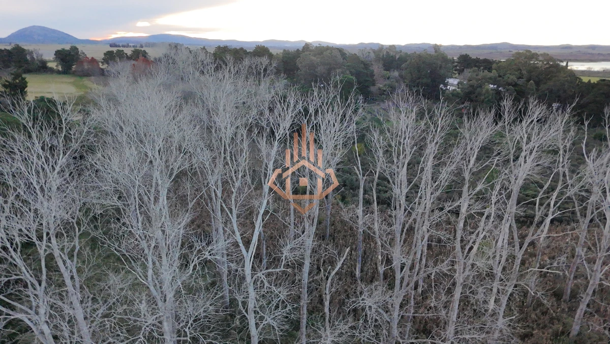 Chacra en venta sobre la Laguna - 17 ha con 200 m de costa, USD 5 por m2