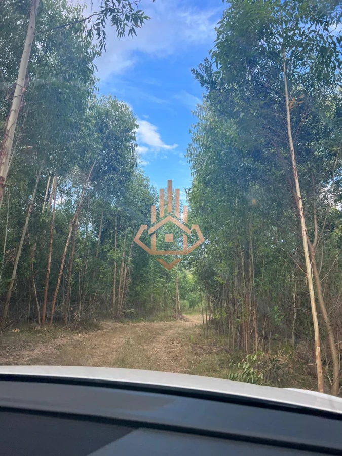 Venta Chacra de 7 hás en Camino de los Ceibos