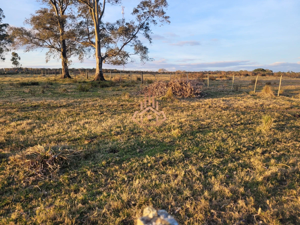 Venta de chacra sobre Ruta 9 - excelente ubicación y muy buen índice CONEAT