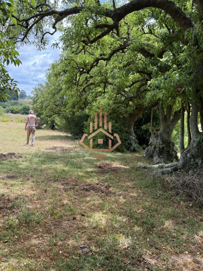 Chacra con Casa en Garzón