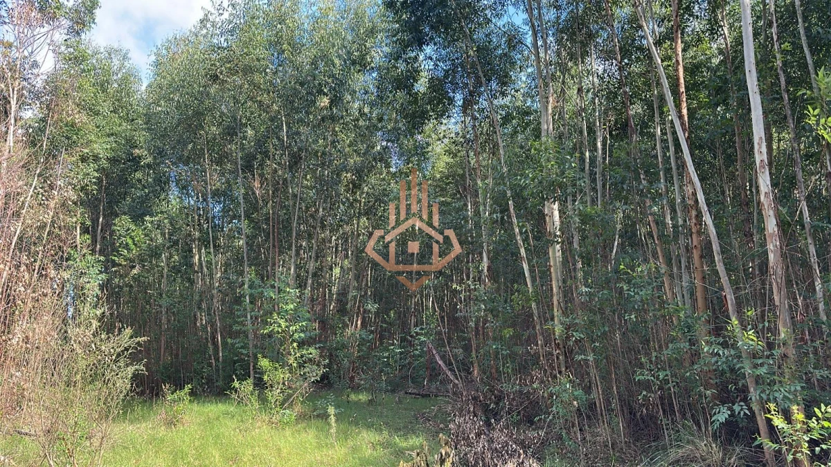 Venta Chacra de 7 hás en Camino de los Ceibos