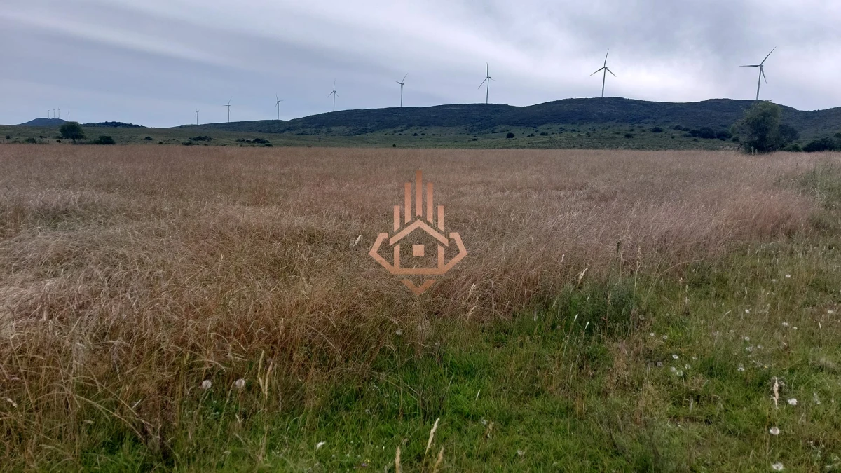 Chacras de más de 5 hectáreas en venta Sierra de los Caracoles