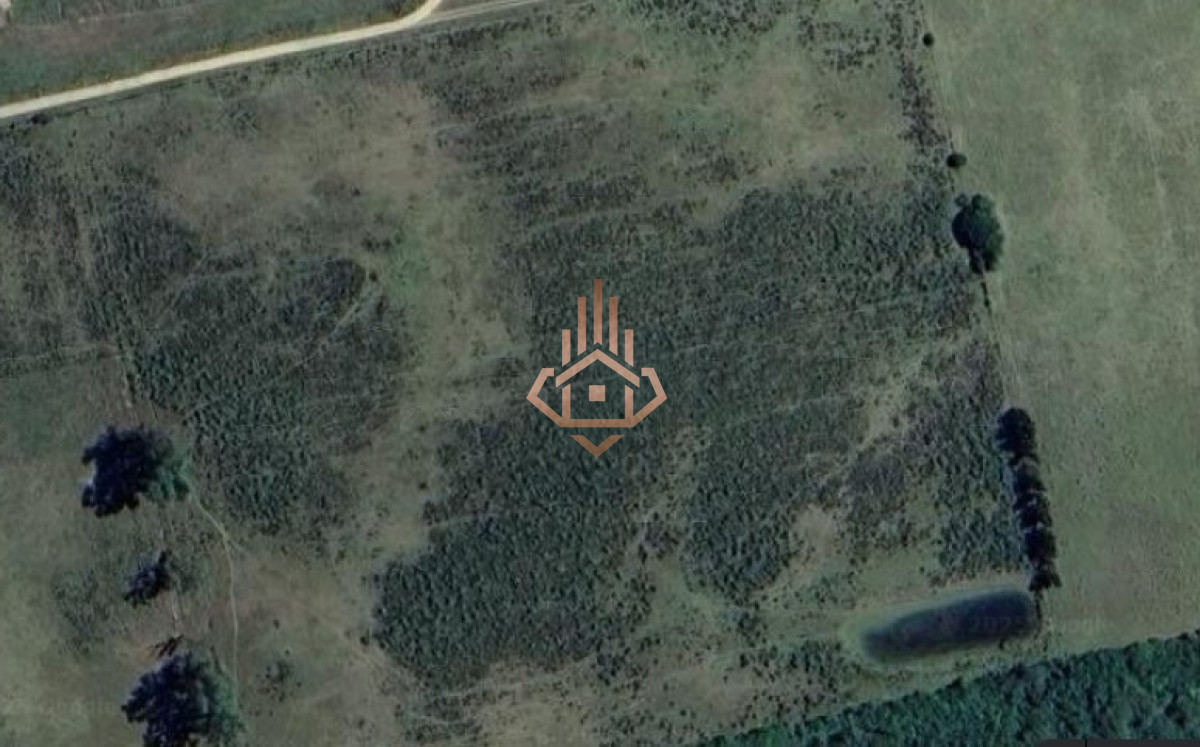 Venta de chacra sobre Ruta 9 - excelente ubicación y muy buen índice CONEAT