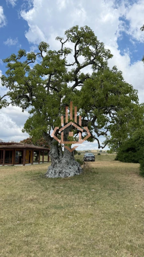 Chacra con Casa en Garzón