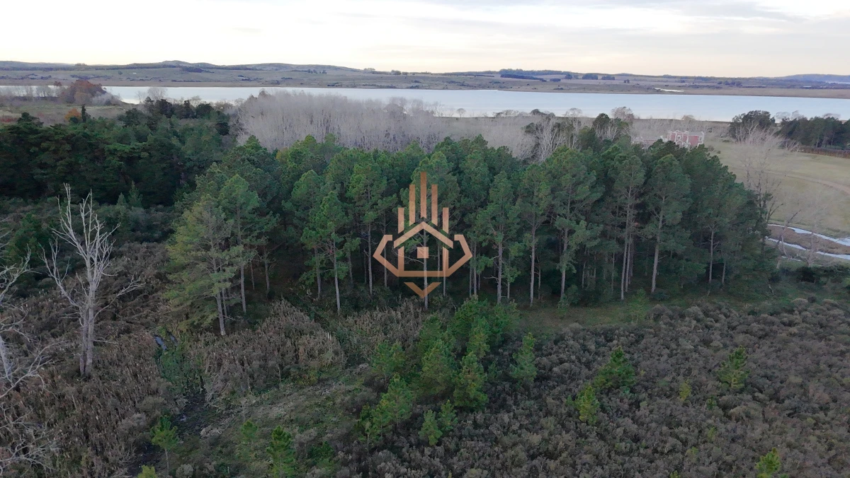 Chacra en venta sobre la Laguna - 17 ha con 200 m de costa, USD 5 por m2