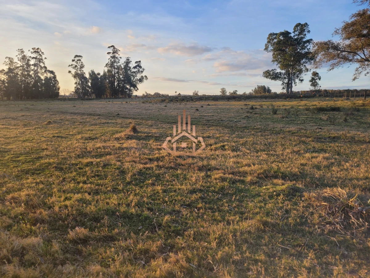 Venta de chacra sobre Ruta 9 - excelente ubicación y muy buen índice CONEAT