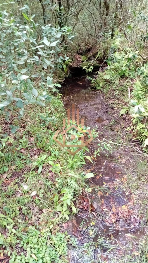 Venta Chacra en Maldonado de 5 hectáreas con casita.