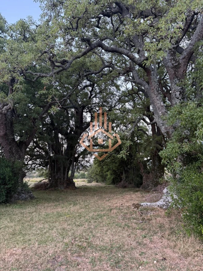 Chacra con Casa en Garzón