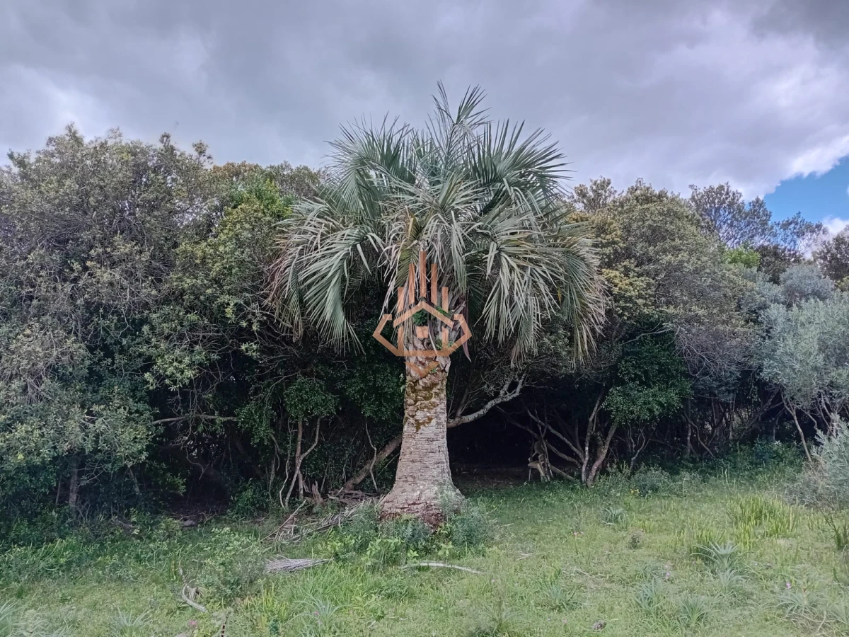 Venta Chacra en Maldonado de 5 hectáreas con casita.