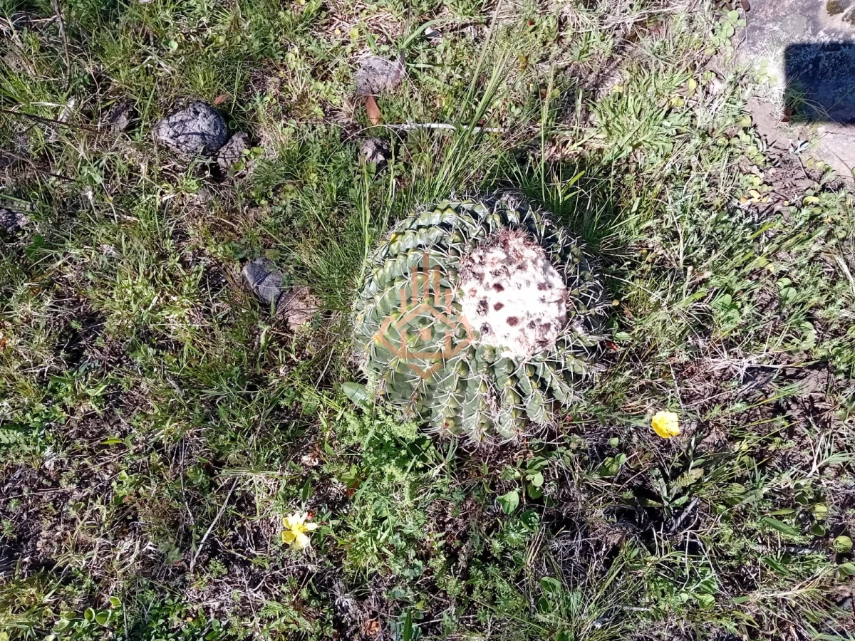 Venta Chacra en Maldonado de 5 hectáreas con casita.