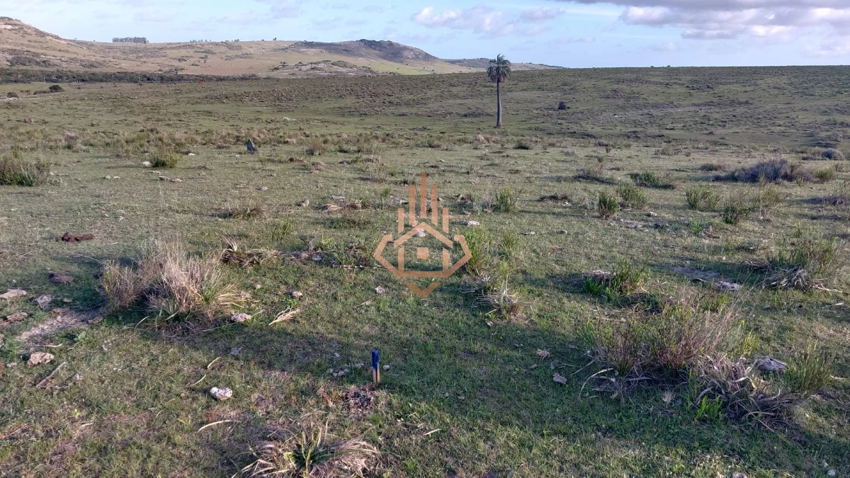 Chacras de más de 5 hectáreas en venta Sierra de los Caracoles