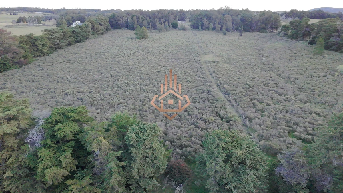 Chacra en venta sobre la Laguna - 17 ha con 200 m de costa, USD 5 por m2