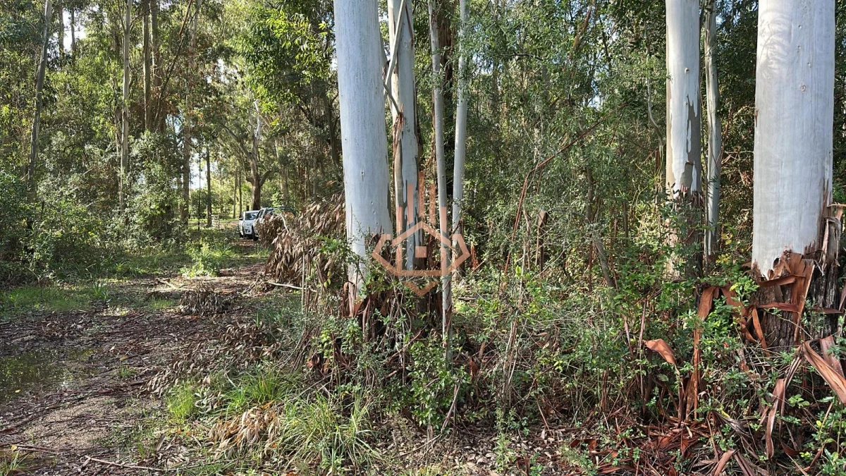 Venta Chacra de 7 hás en Camino de los Ceibos