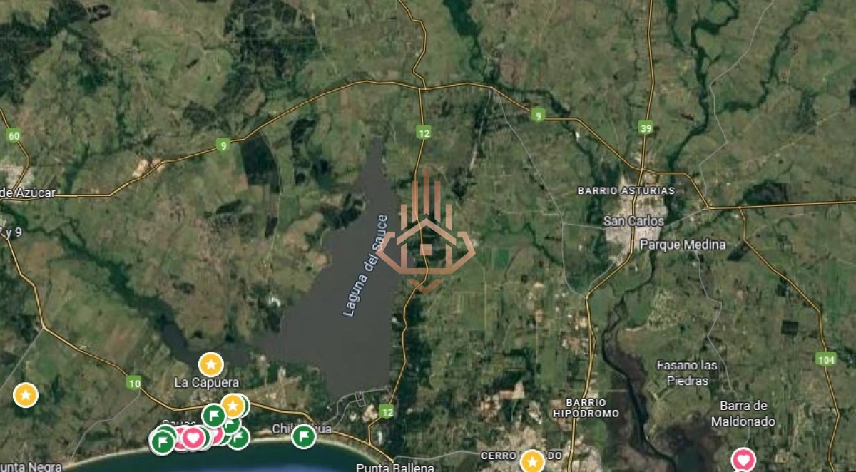 Venta de chacra sobre Ruta 9 - excelente ubicación y muy buen índice CONEAT