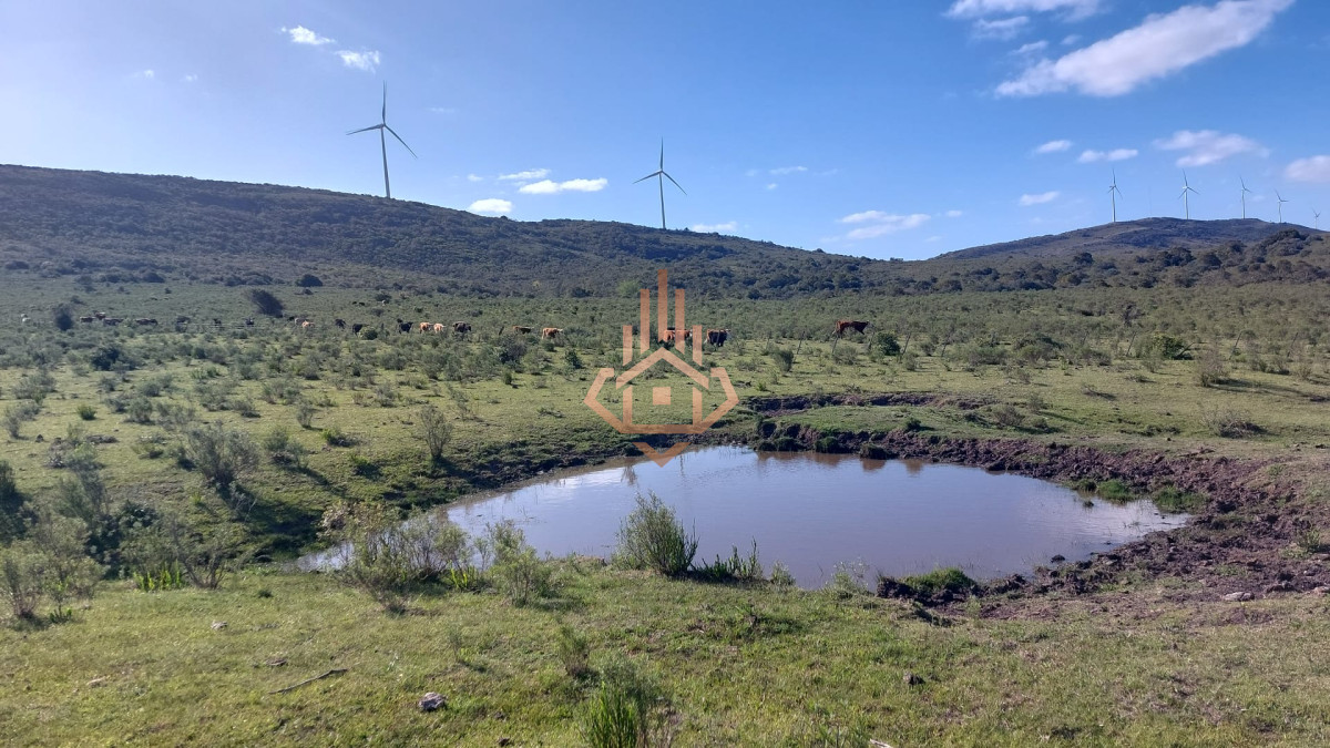 Chacras de más de 5 hectáreas en venta Sierra de los Caracoles
