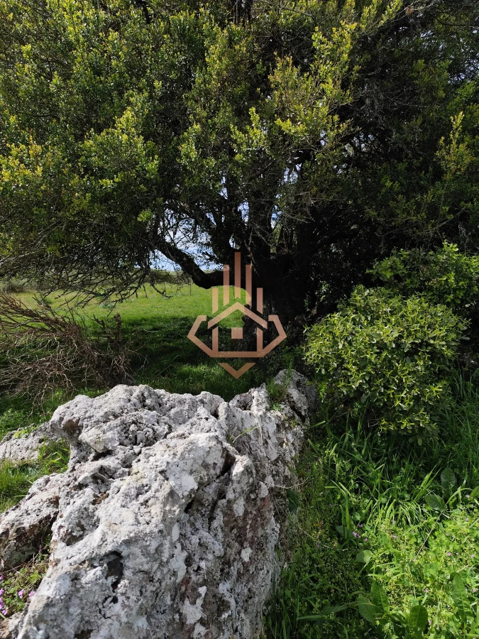 Chacra con Monoambiente en Las Sierras - Puntas de Pan de Azúcar