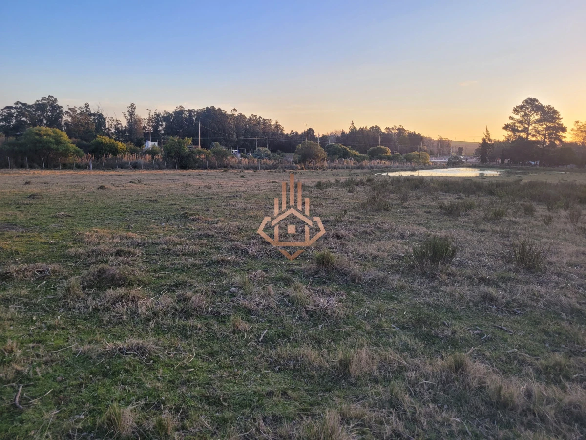 Venta de chacra sobre Ruta 9 - excelente ubicación y muy buen índice CONEAT