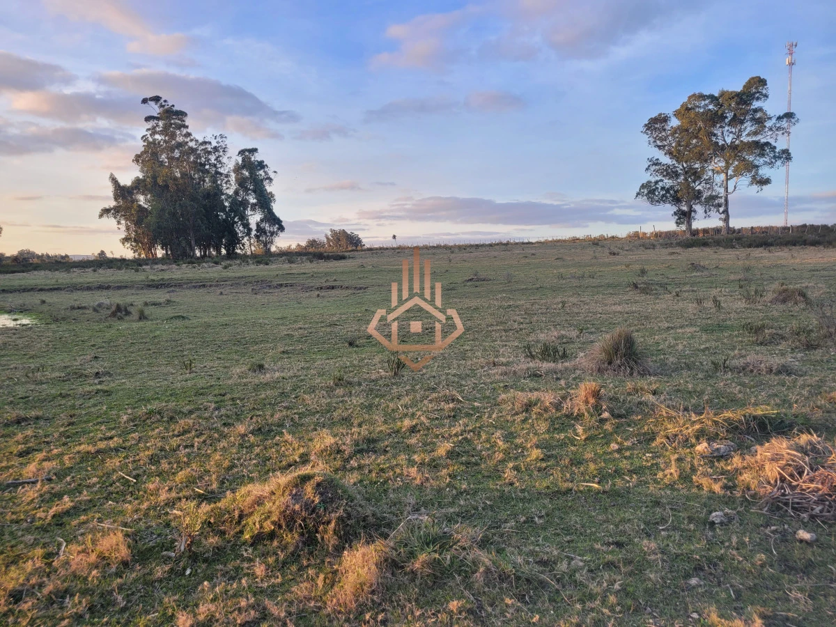 Venta de chacra sobre Ruta 9 - excelente ubicación y muy buen índice CONEAT