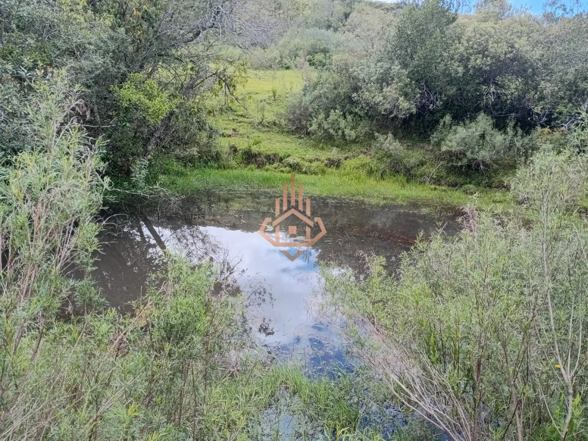 Venta Chacra en Maldonado de 5 hectáreas con casita.