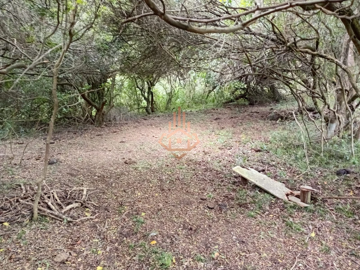 Venta Chacra en Maldonado de 5 hectáreas con casita.