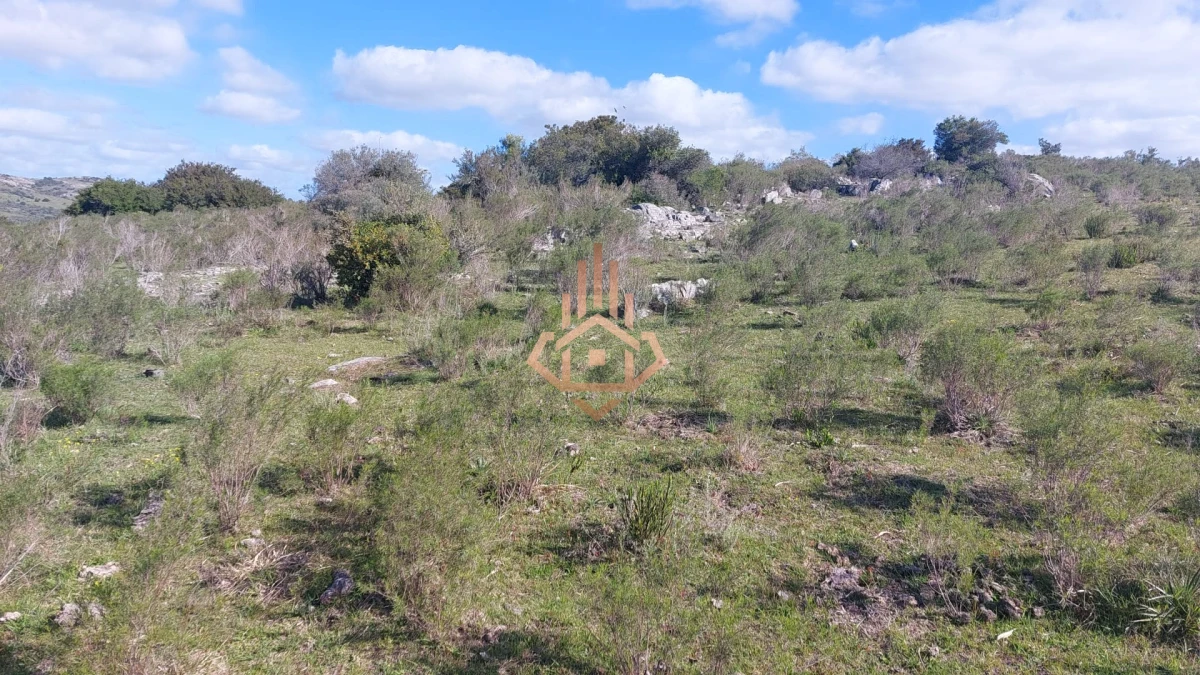 Chacras de más de 5 hectáreas en venta Sierra de los Caracoles