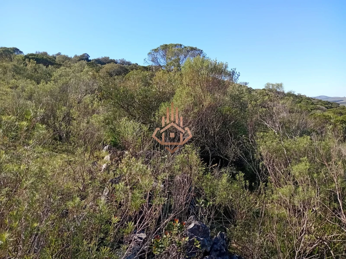 Venta Chacra en Maldonado de 5 hectáreas con casita.