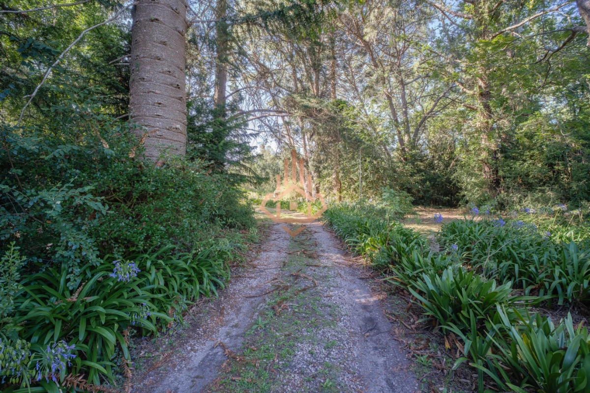 Venta de Chacra Marítima. Única en la Costa de las Flores