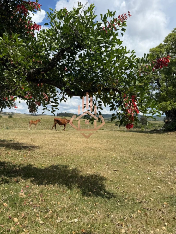 Chacra con Casa en Garzón