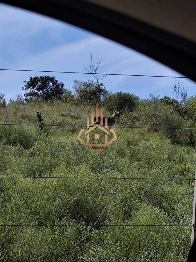 Chacra con Monoambiente en Las Sierras - Puntas de Pan de Azúcar