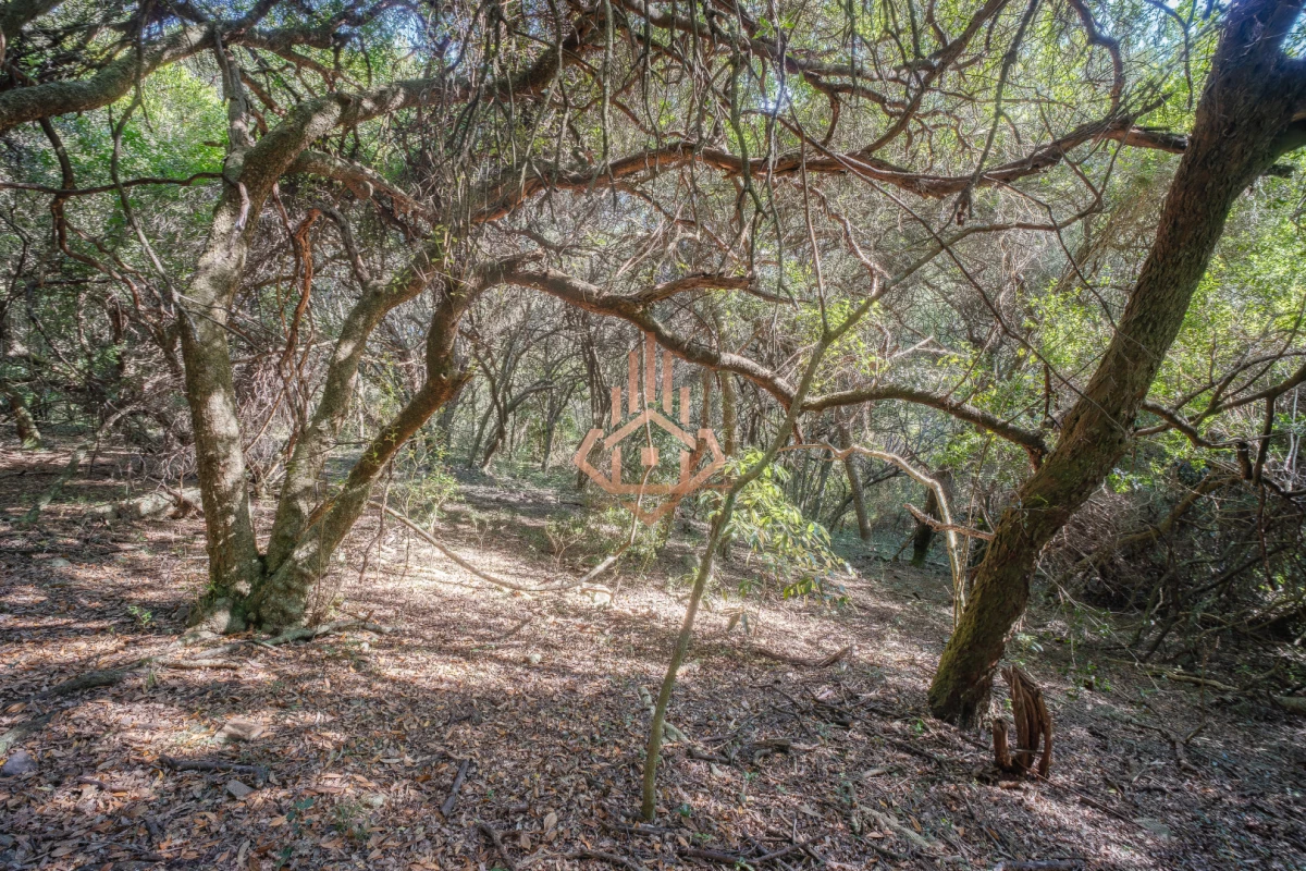Venta de Chacra Marítima. Única en la Costa de las Flores