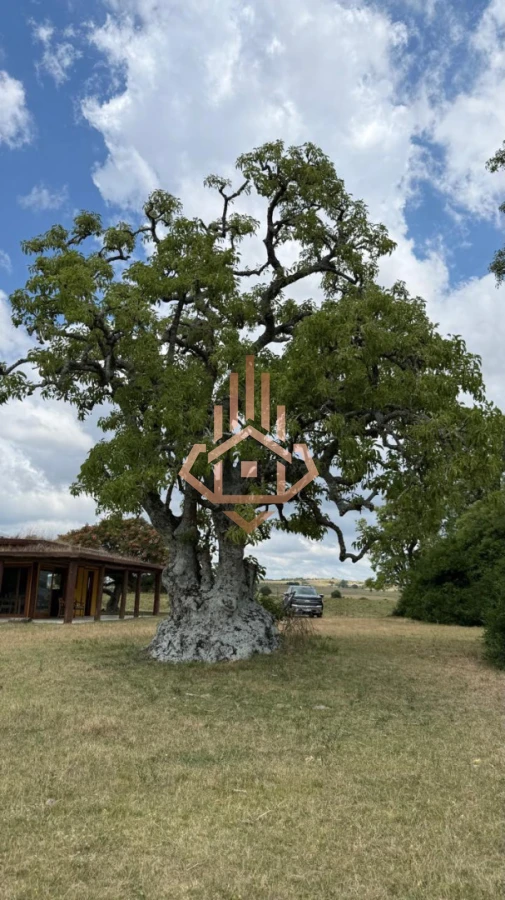 Chacra con Casa en Garzón