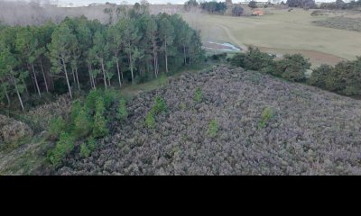 Chacra en venta sobre la Laguna - 17 ha con 200 m de costa