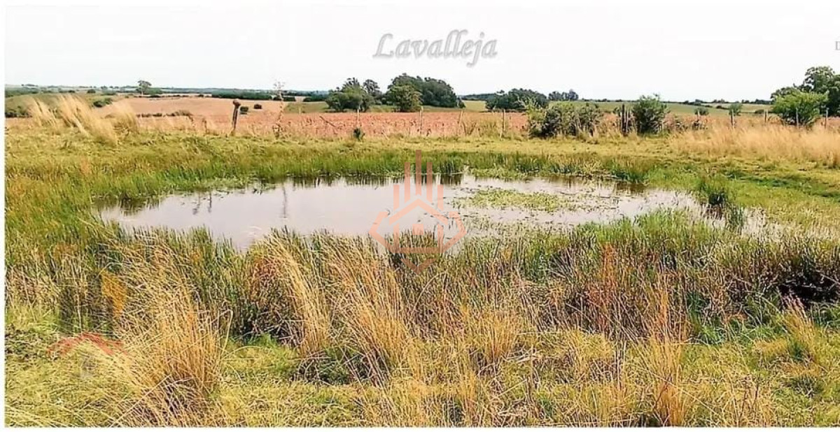 Campo en venta en Lavalleja - 22,5 hectáreas - LUX21098586P