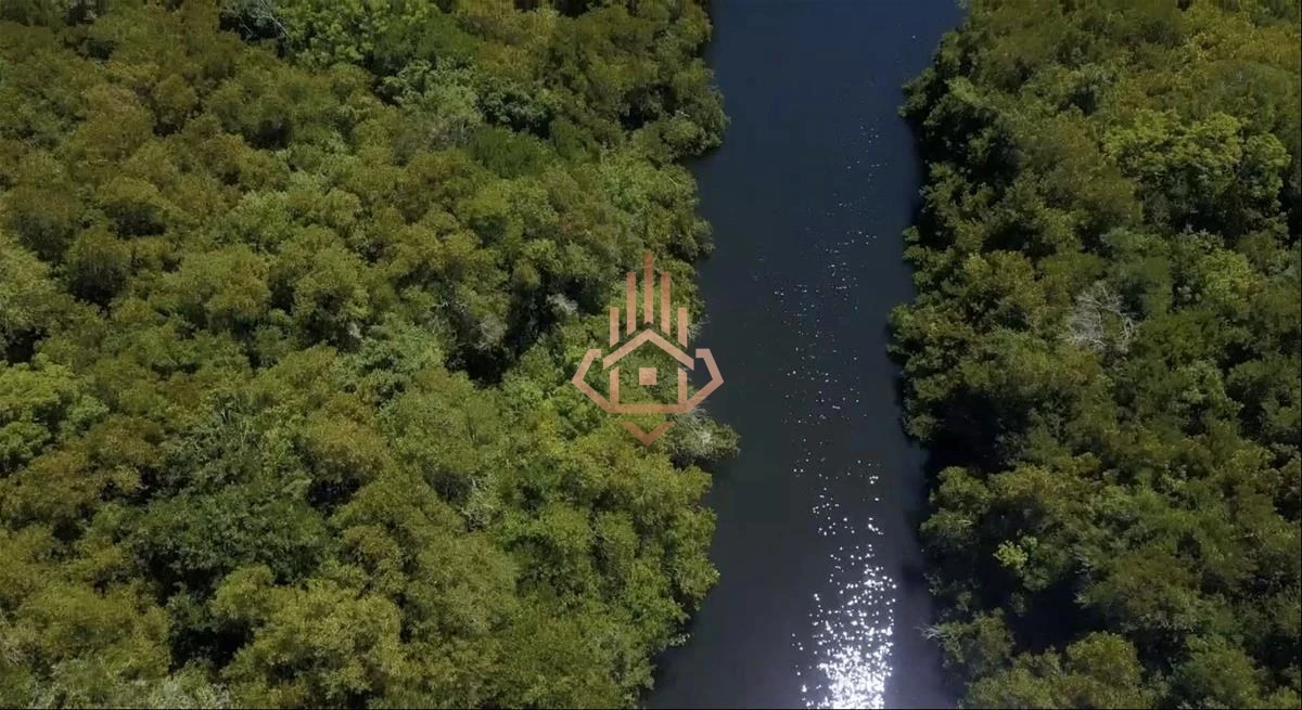 Espectacular Campo con Olivos