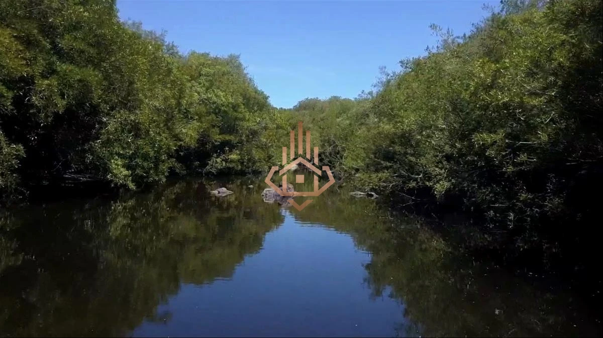 Espectacular Campo con Olivos