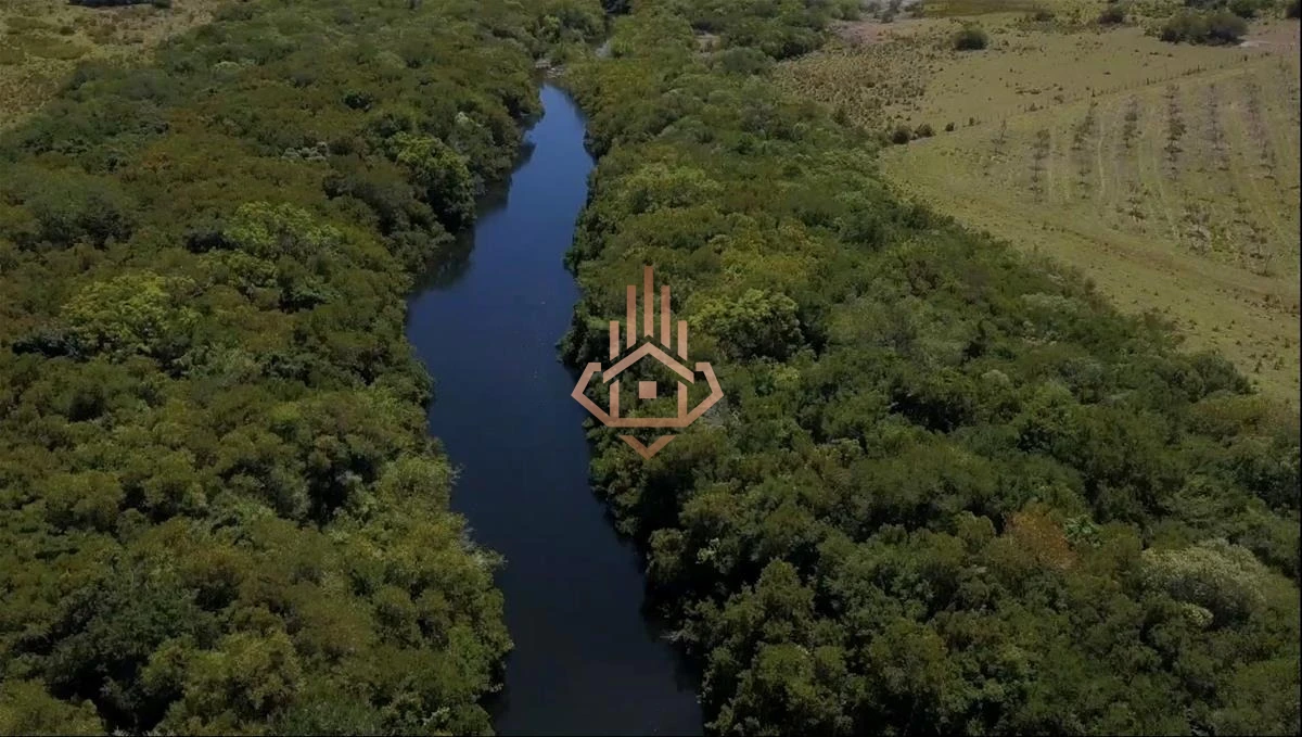 Espectacular Campo con Olivos