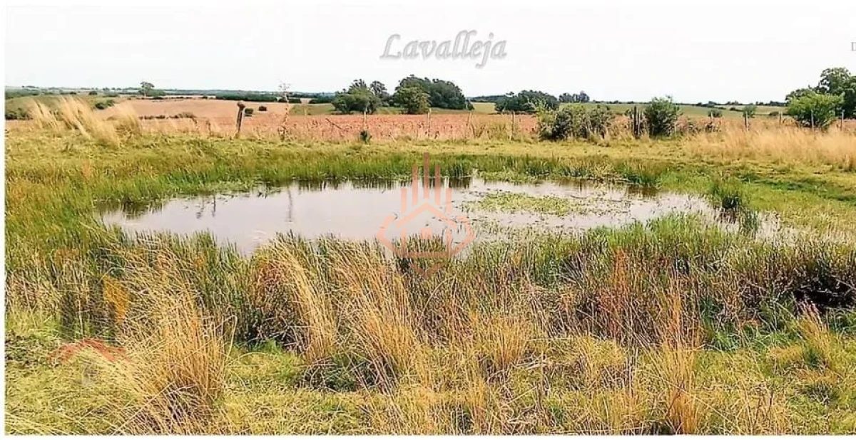 Campo en venta en Lavalleja - 22,5 hectáreas