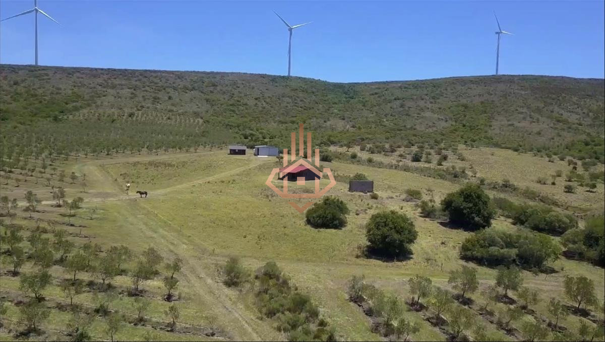 Campo en Venta con Olivos y Molinos Eólicos