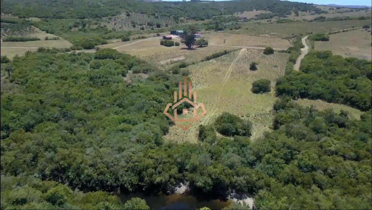 Espectacular Campo con Olivos