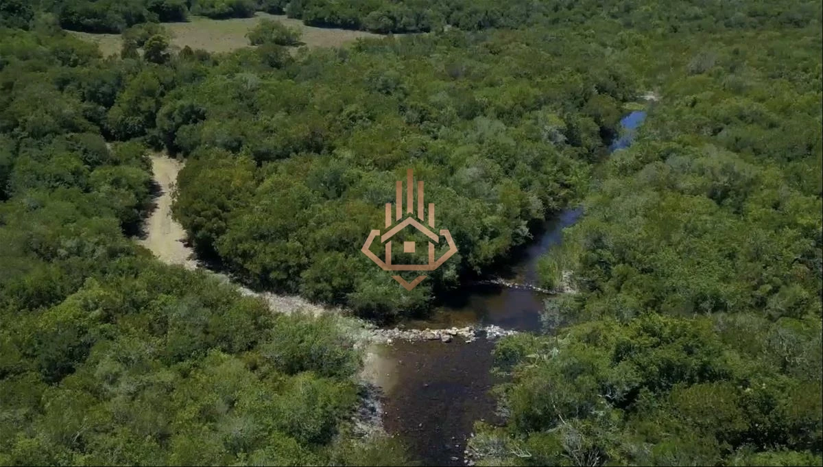 Espectacular Campo con Olivos