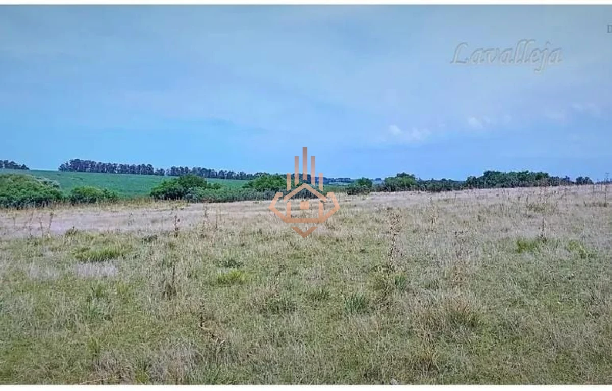 Campo en venta en Lavalleja - 22,5 hectáreas