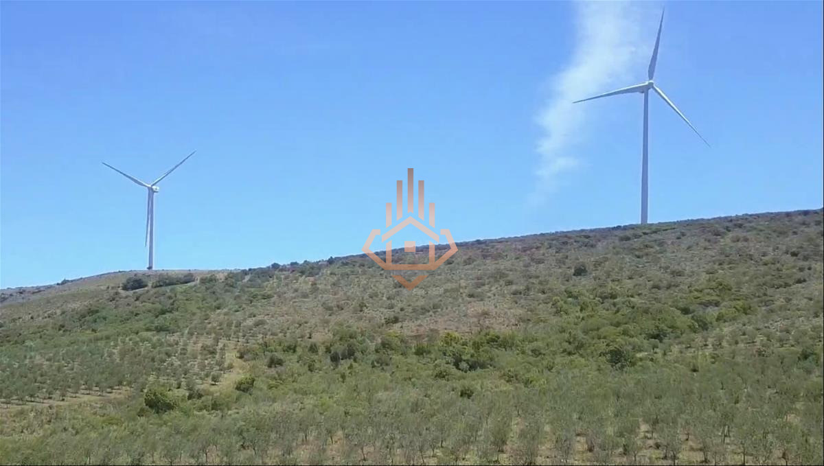 Campo en Venta con Olivos y Molinos Eólicos