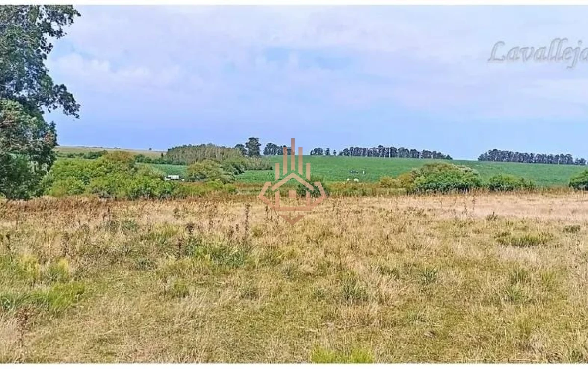 Campo en venta en Lavalleja - 22,5 hectáreas