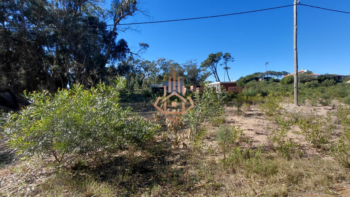 Terreno En Venta Ocean Park - LUX21099350T
