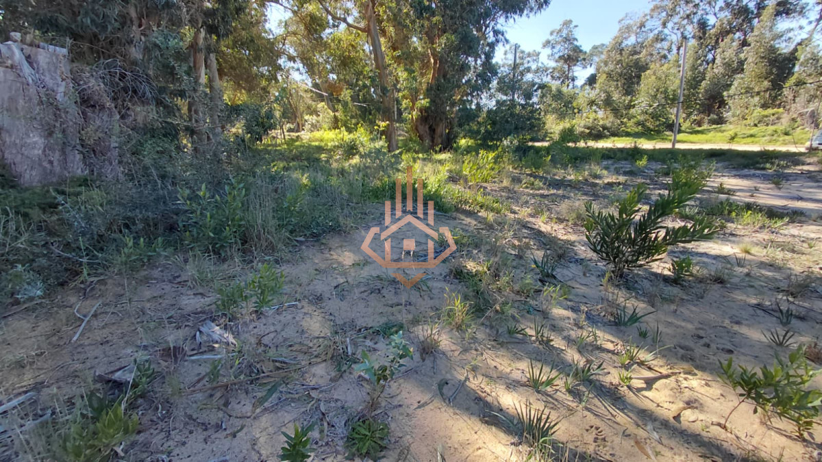 Terreno En Venta Ocean Park - LUX21099352T