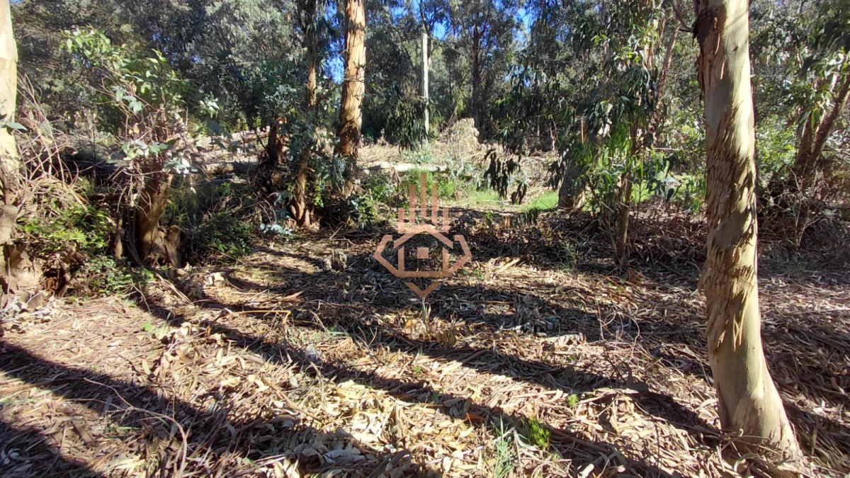Venta Terreno en Ocean Park! - Foto 3