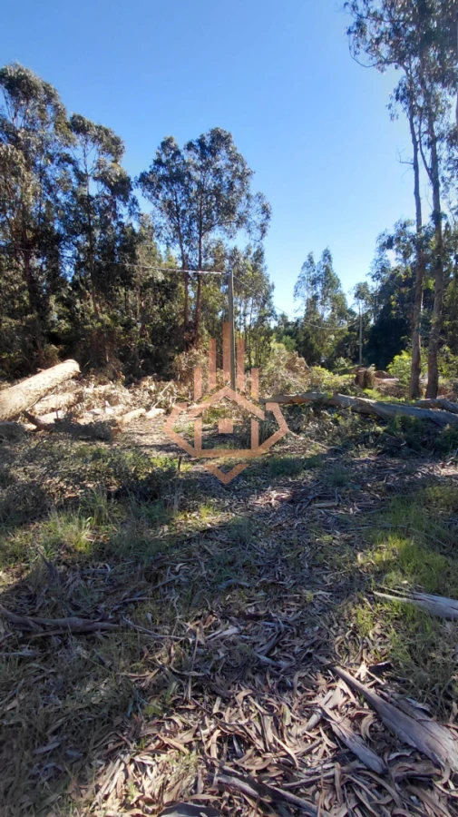 Venta Terreno en Ocean Park - Foto 3