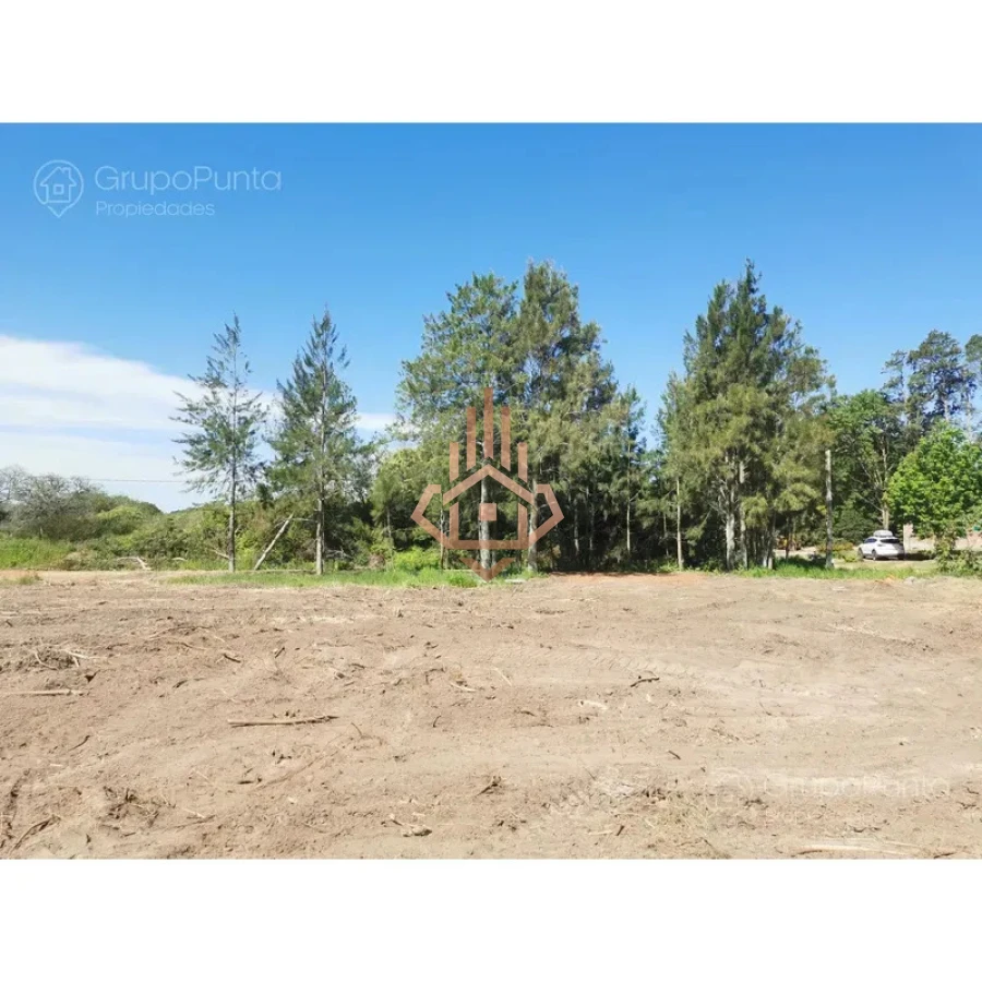 Terreno en laguna del diario